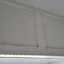 Commercial-Pressure-Washing-of-Apartments-in-Orlando-FL 5